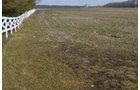 Property photo 41 - 98+/- Acres Offered in 6 Tracts or Combinations, Noble County, Indiana Farm